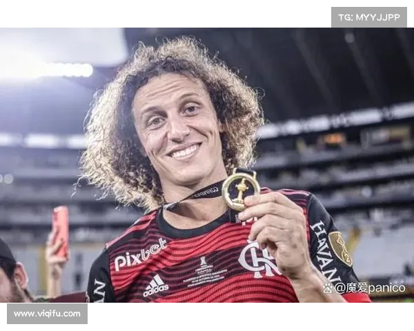 大卫·路易斯未入选国家队的深层原因解析与对比分析